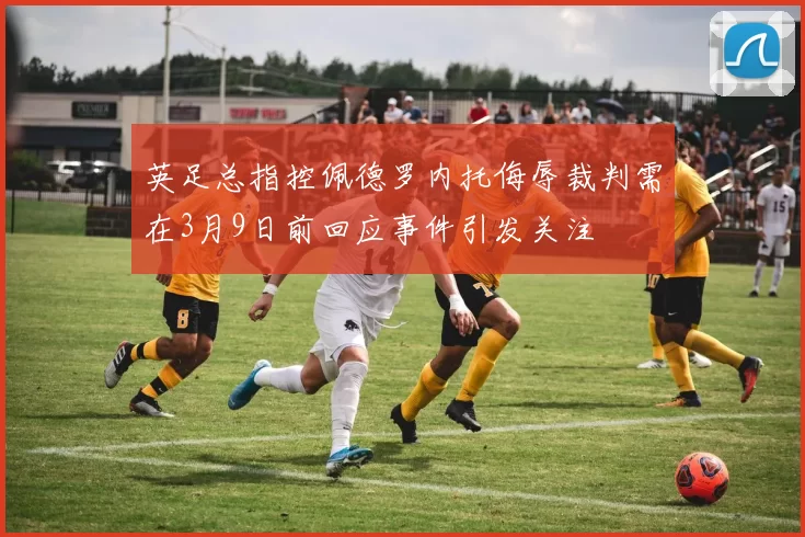 英足总指控佩德罗内托侮辱裁判需在3月9日前回应事件引发关注