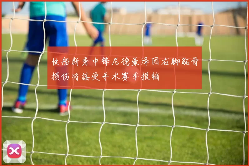 快船新秀中锋尼德豪泽因右脚跖骨损伤将接受手术赛季报销